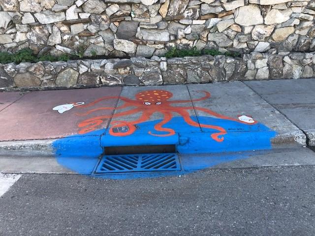storm_drain_2021_14