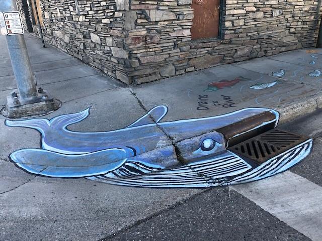 storm_drain_2021_15