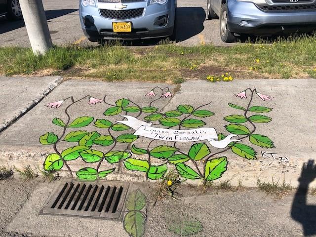 storm_drain_2021_16